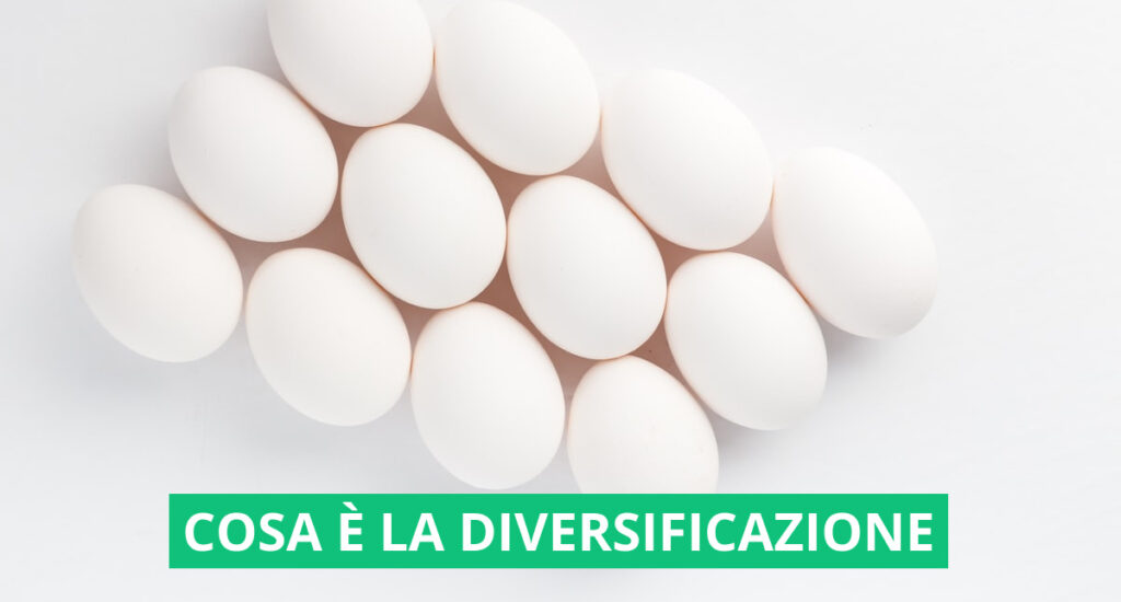 copertina che rappresenta 12 uova, metafora della diversificazione